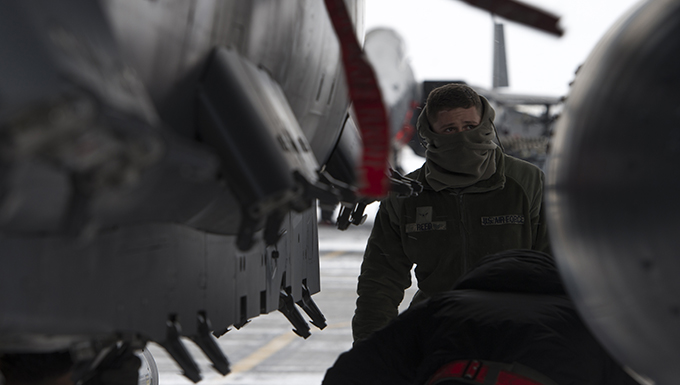 vigilant ace 16 mwds handlers